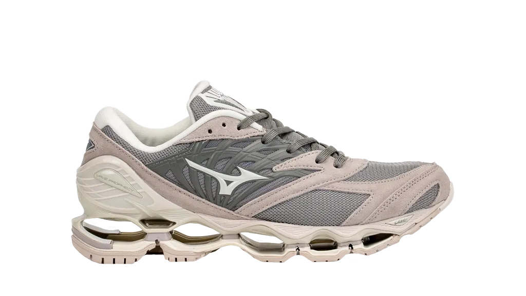 Mizuno-Wave-Prophecy